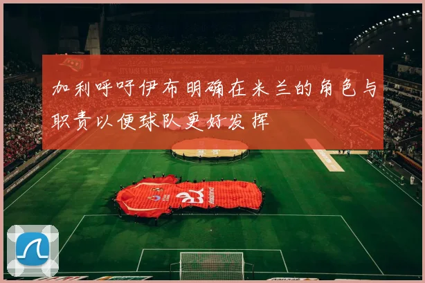 加利呼吁伊布明确在米兰的角色与职责以便球队更好发挥