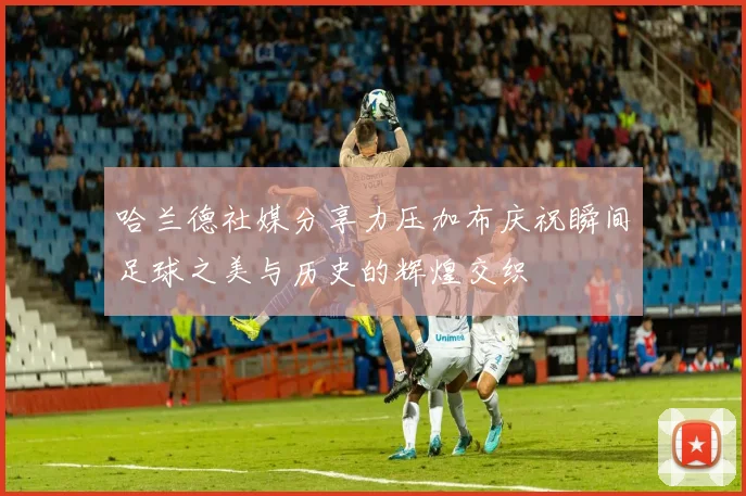 哈兰德社媒分享力压加布庆祝瞬间足球之美与历史的辉煌交织